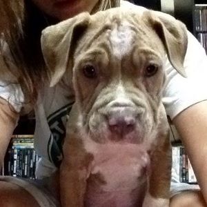 Meet your Posher, Marci